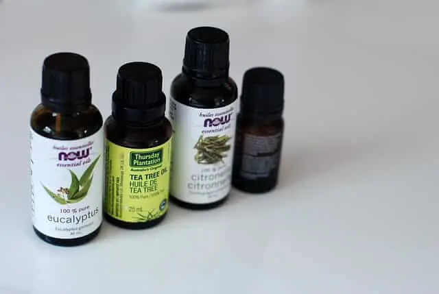 Best Essential Oils for Sinusitis eucalyptus