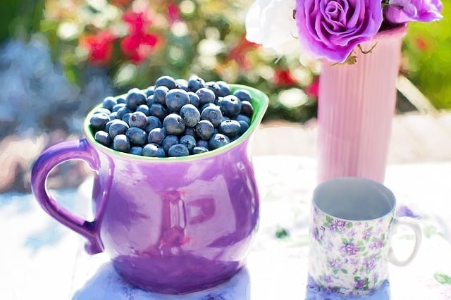 Blueberry Essential Oil and Fragrance Oil Benefits