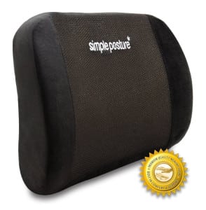 BackGuard Lower Back Pain Cushion