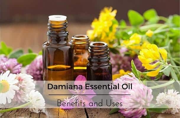 Damiana Essential Oil Benefits and Uses