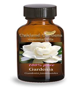 Gardenia Essential Oil - 100% Therapeutic Grade - Gardenia Jasminoides