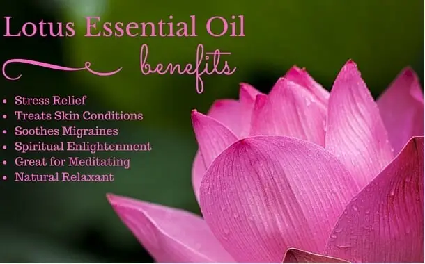 Lotus Essential Oil Benefits List