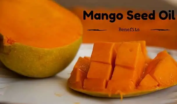 Mango Seed Oil Benefits
