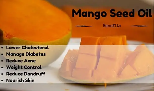Mango seed oil health hair and skin benefits listed
