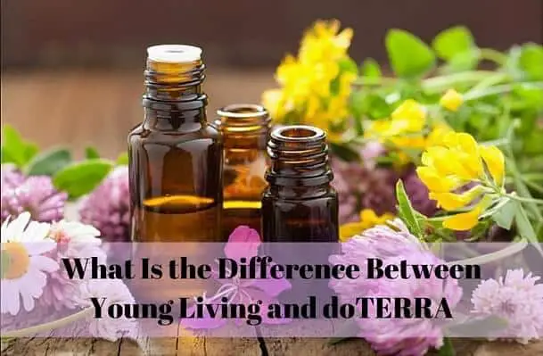 What Is the Difference Between Young Living and doTERRA