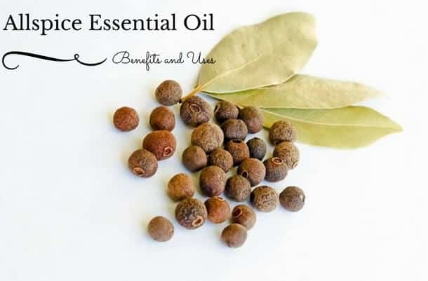 Allspice Essential Oil Benefits and Uses
