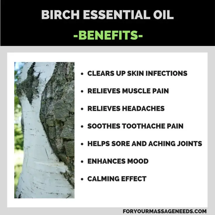 Birch Essential Oil Health Benefits Listed