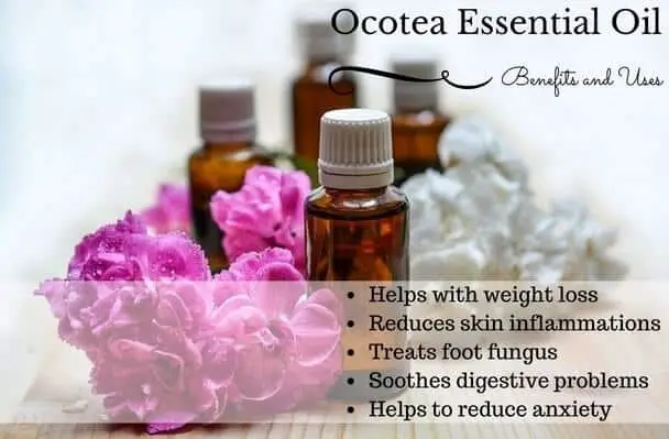Ocotea Essential Oil Health Benefits and Uses Listed