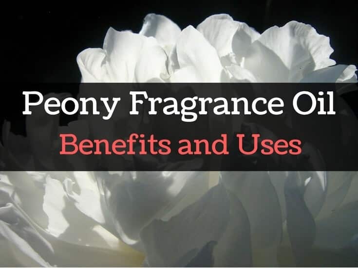 Peony Essential Oil and Fragrance Oil Benefits