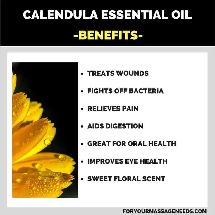Calendula Essential Oil Health Benefits and Uses Listed