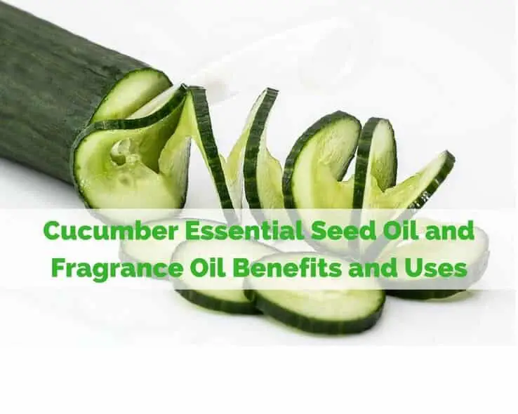 Cucumber Essential Seed Oil and Fragrance Oil Benefits and Uses