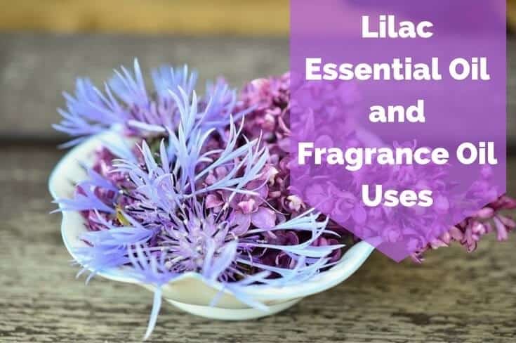 Lilac Essential Oil and Fragrance Oil Benefits and Uses