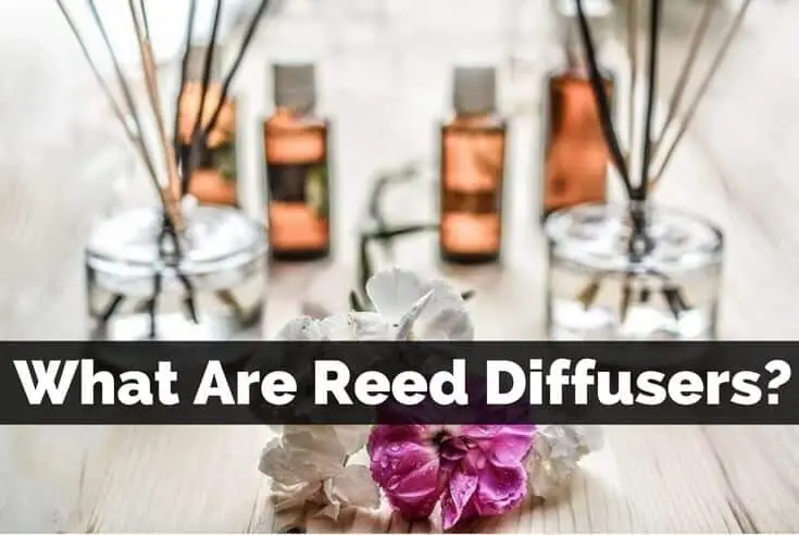 What Are Reed Diffusers?