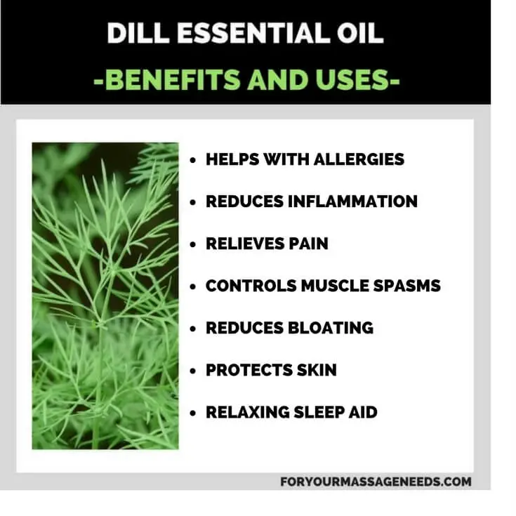 Dill Essential Oil Health Benefits and Uses Listed