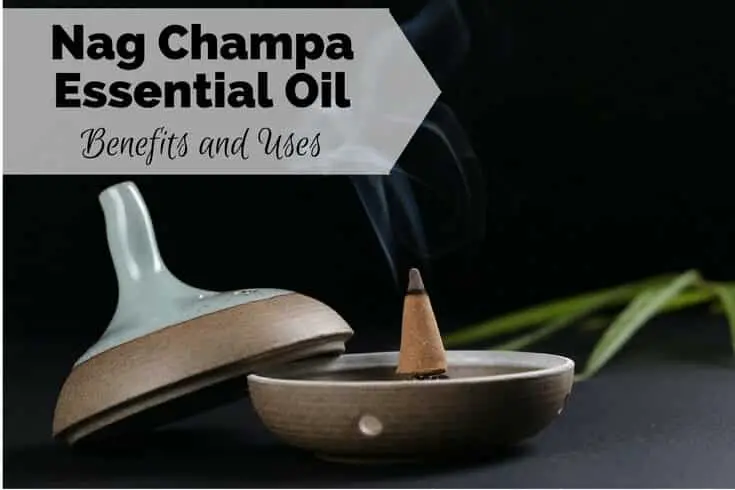 Nag Champa Essential Oil Benefits and Uses Image
