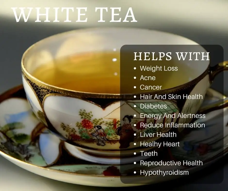 The Health Benefits to Drinking White Tea