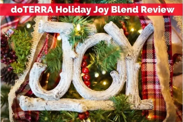 doTERRA Holiday Joy Blend Review
