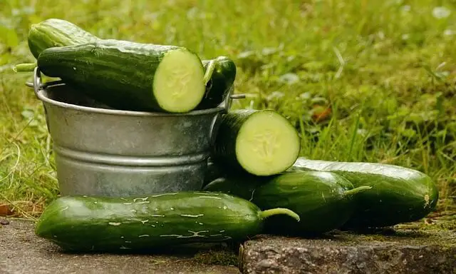 Flat Tummy Water Ingredients Cucumber